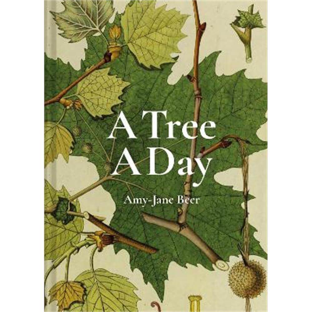 A Tree A Day (Hardback) - Amy-Jane Beer
